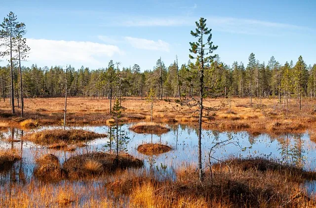 평택지제역 SRT 기차 시간표 확인과 예매 노하우 소개_8