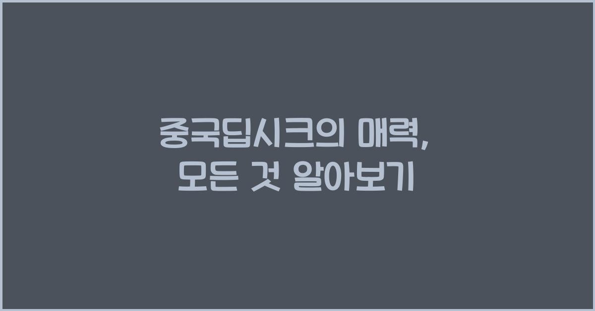 중국딥시크