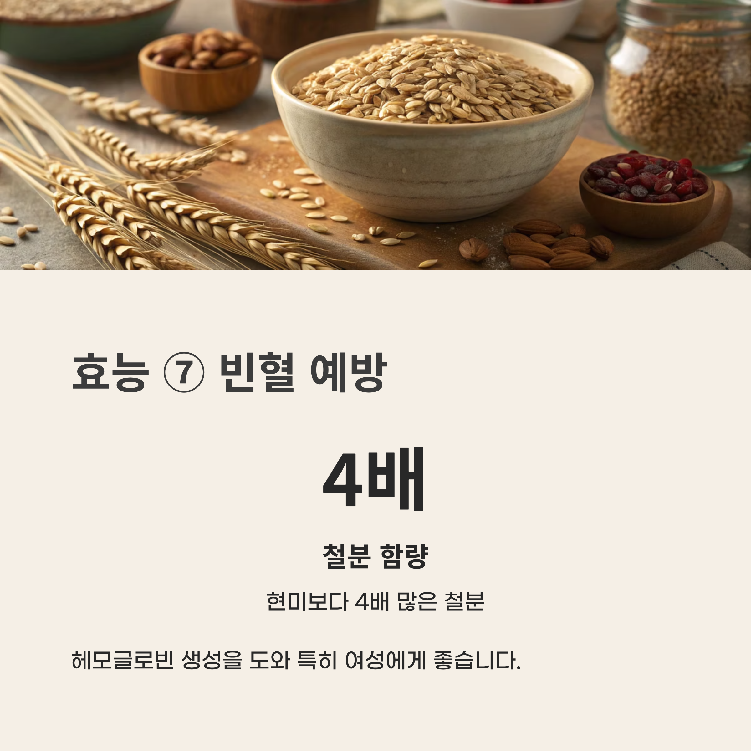 귀리 효능과 부작용 2025 완벽 가이드 &ndash; 슈퍼푸드 효능과 숨겨진 함정 총정리!