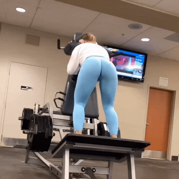 glutes-quads-hamstrings