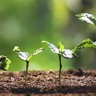 중소기업 퇴직연금 푸른씨앗