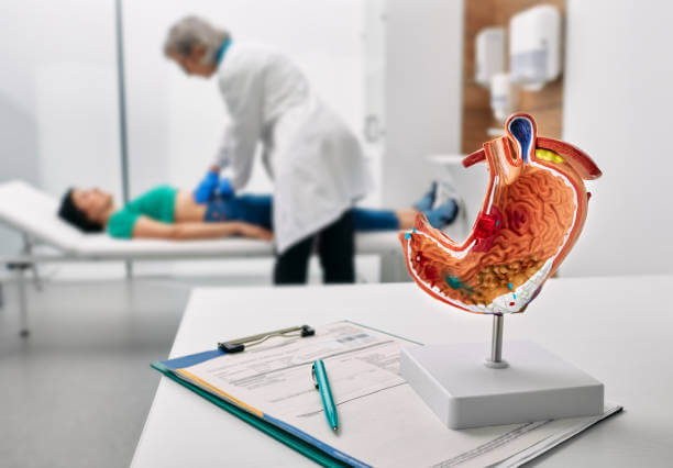 위 건강 영양제!!!위 건강을 위한 영양제 추천 Best.5 위 건강에 좋은 영양제 추천!!