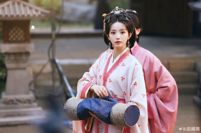 가금채 중국드라마 총정리|줄거리·출연진·전희미 1인 2역·몇부작·넷플릭스·장하오 OST 동왕