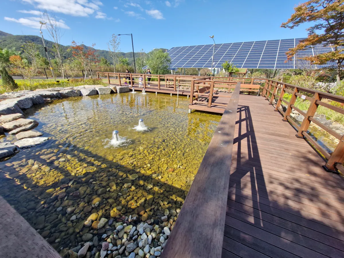 갈색-벤치위에-형성되어-있는-작은-연못