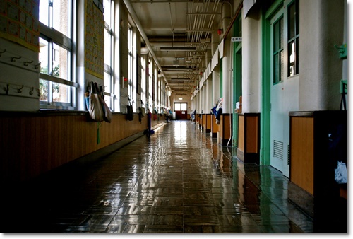 개별화교육 협의회