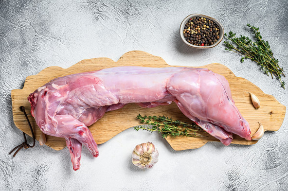 토끼고기-단백질-세계4위