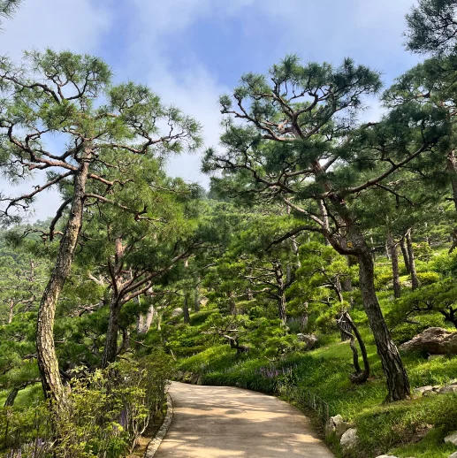 화담숲 예약&amp;#44; 가을 단풍축제 