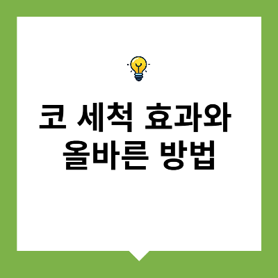 코 세척 효과와 올바른 방법 &ndash; 비염 환자 필수 관리법