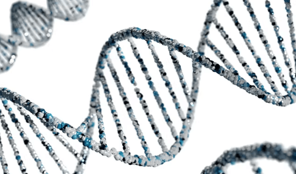 코스닥 전망 2차전지 바이오 AI 반도체 주도주 전략