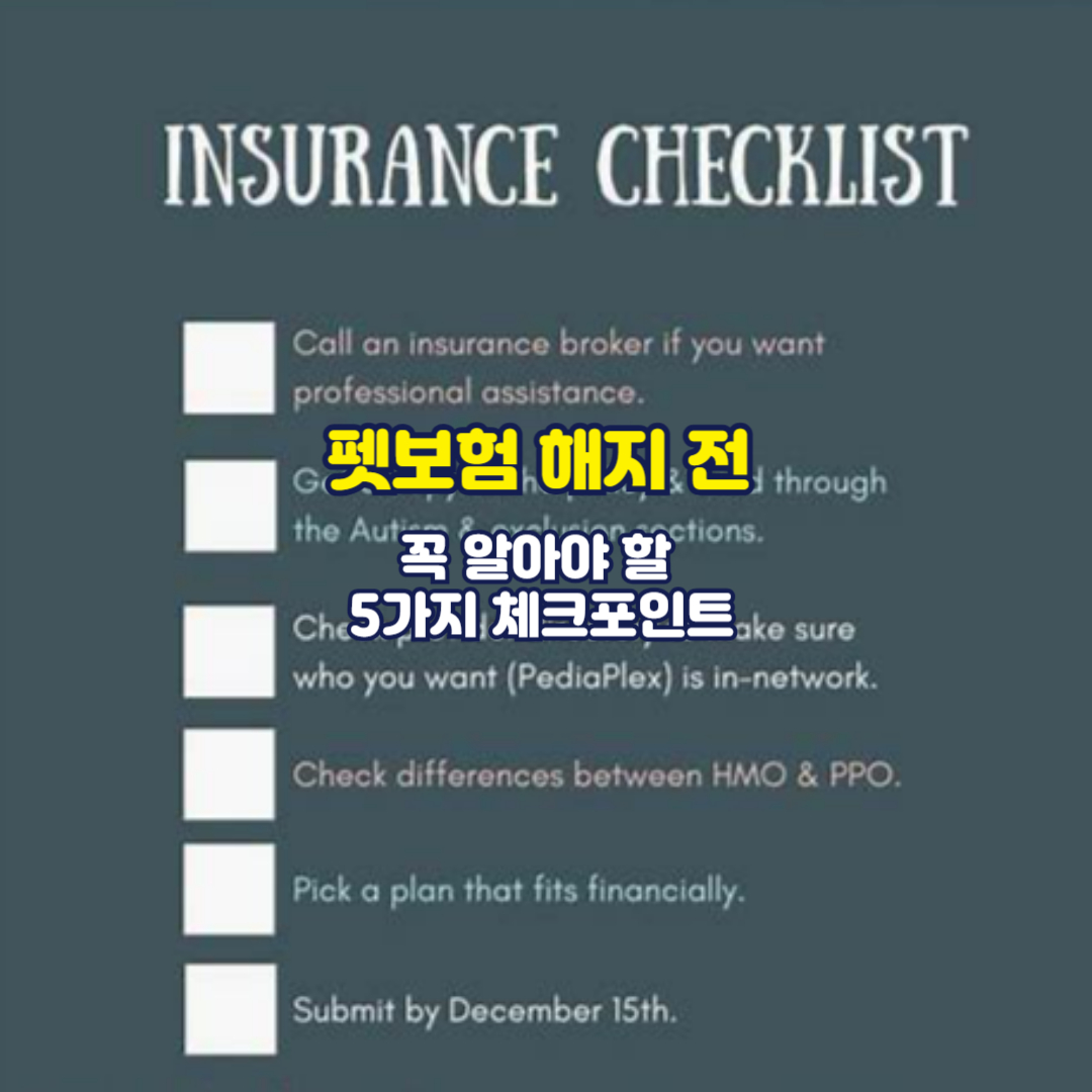 펫보험 해지 전 꼭 알아야 할 5가지 체크포인트