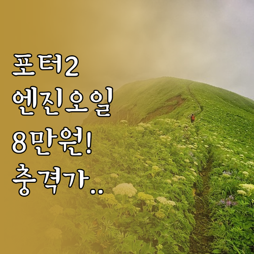 포터2 엔진오일 교체 비용 8만에서 ..