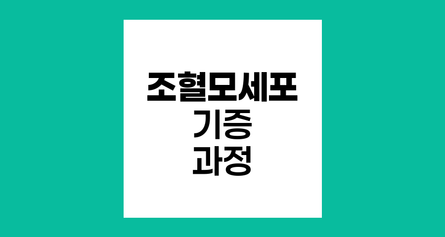 조혈모세포 기증 절차와 과정