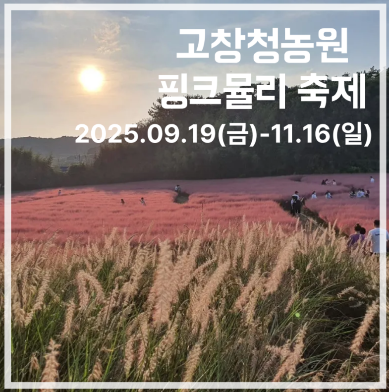 고창 청농원 핑크뮬리 축제 포스터
