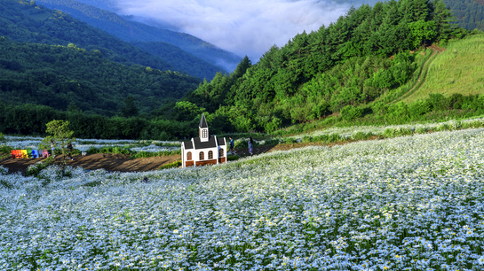 청옥산-육백마지기