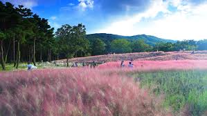 10월 가볼만한곳 베스트 