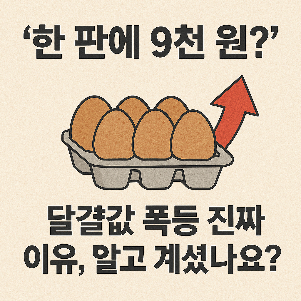 달걀값 폭등 진짜 이유