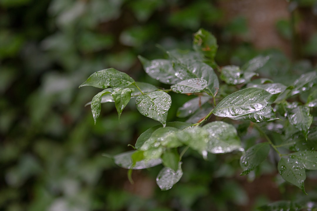 Moisture
