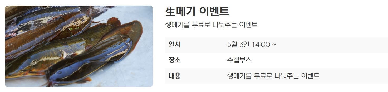 [5월 축제]2025 진봉 새만금 보리밭축제❘기간, 일정, 체험 프로그램, 공연 총정리