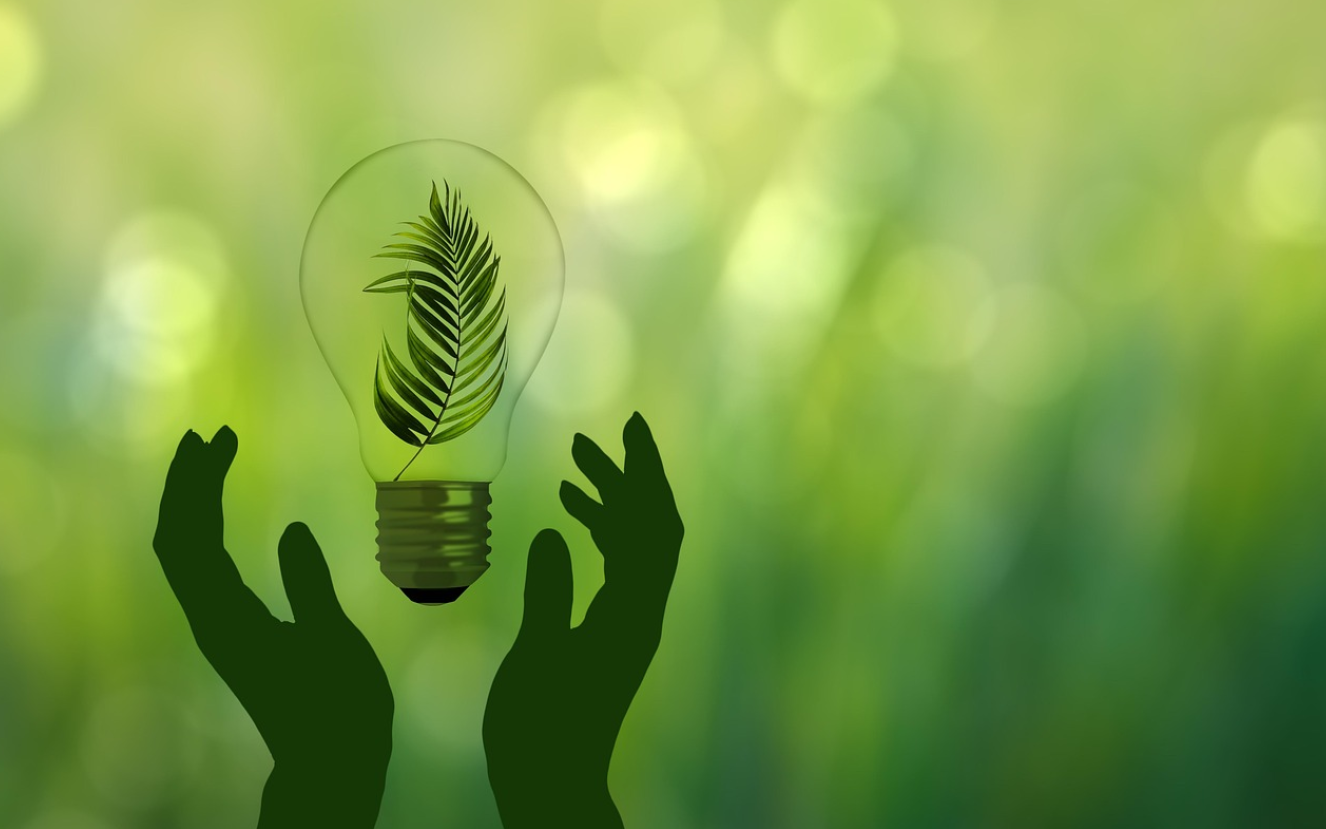 음식물 쓰레기 줄이는 법과 친환경적인 처리 방법