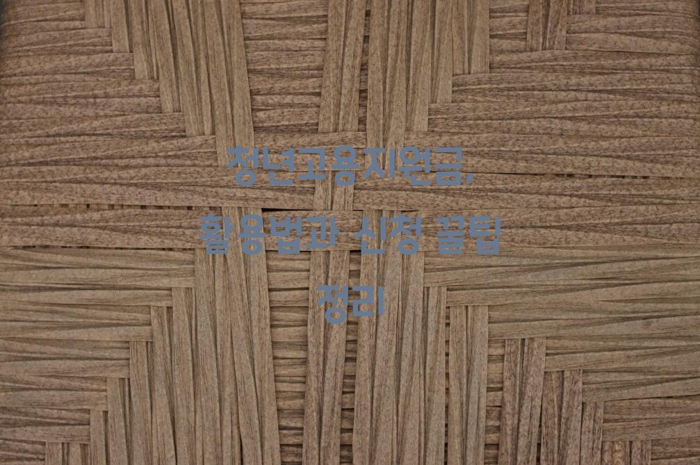 청년고용지원금