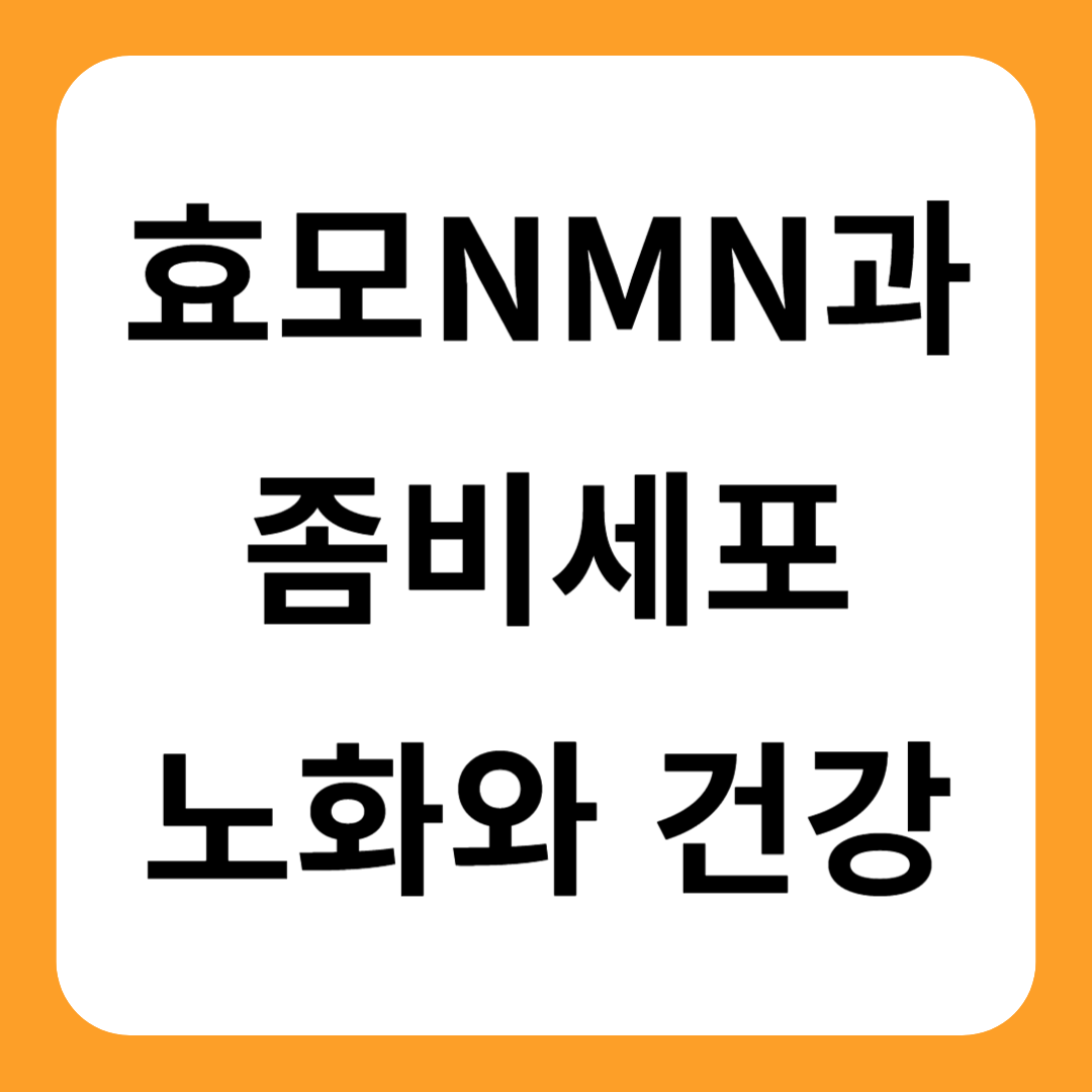 효모 NMN과 좀비세포