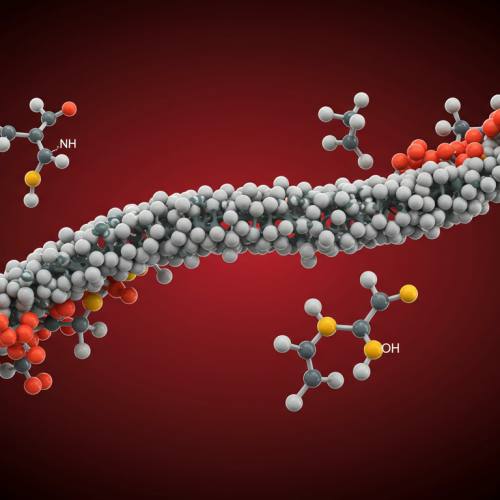 콘드로이친 부작용