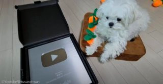 구성환 꽃분이 나이 프로필 사망 나혼산 국토대장정