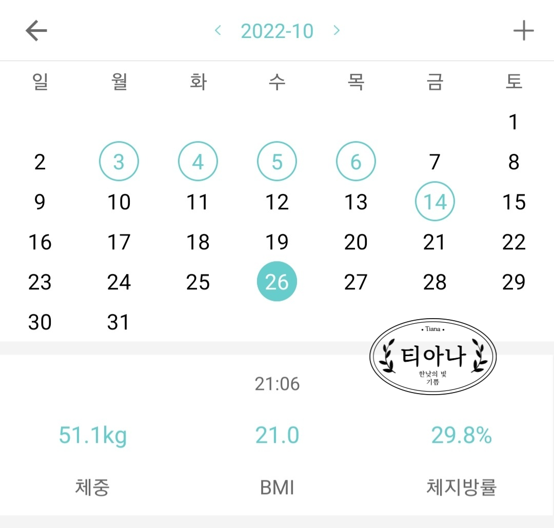 일반식으로 근력키우기 다이어트 기록