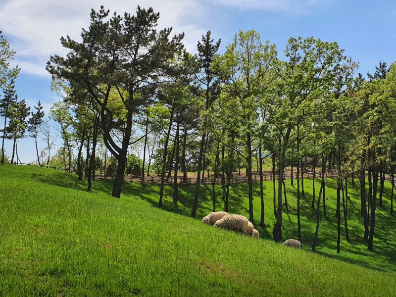 숲소리공원