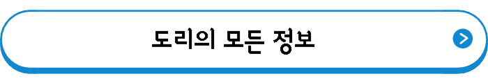 도리의 모든 블로그