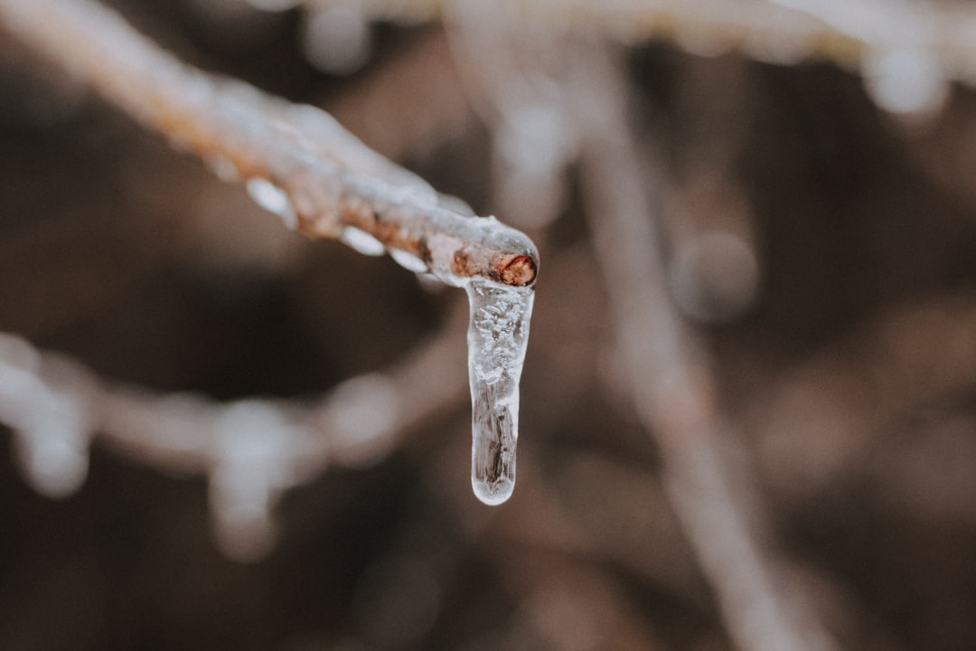 Icicle