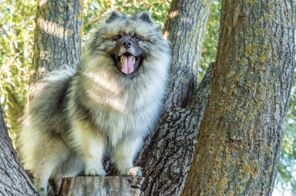 풀숲에 앉는 키스 혼도.