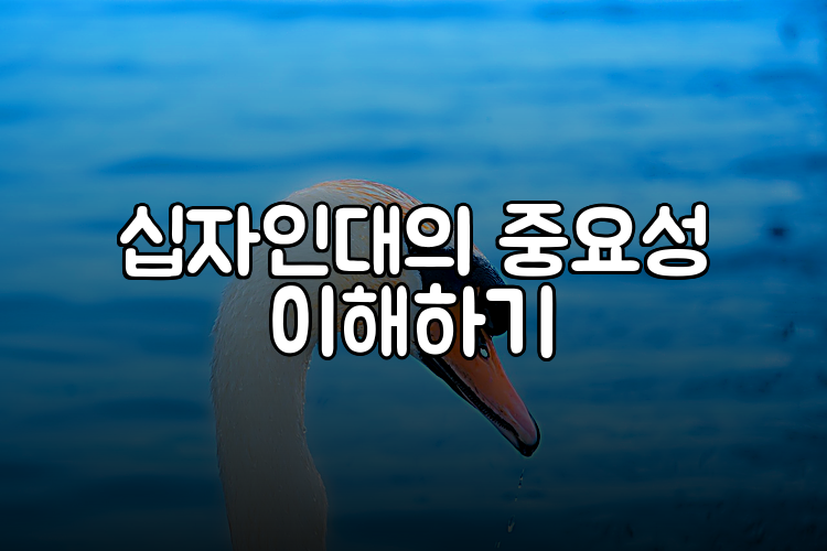 십자인대의 중요성 이해하기