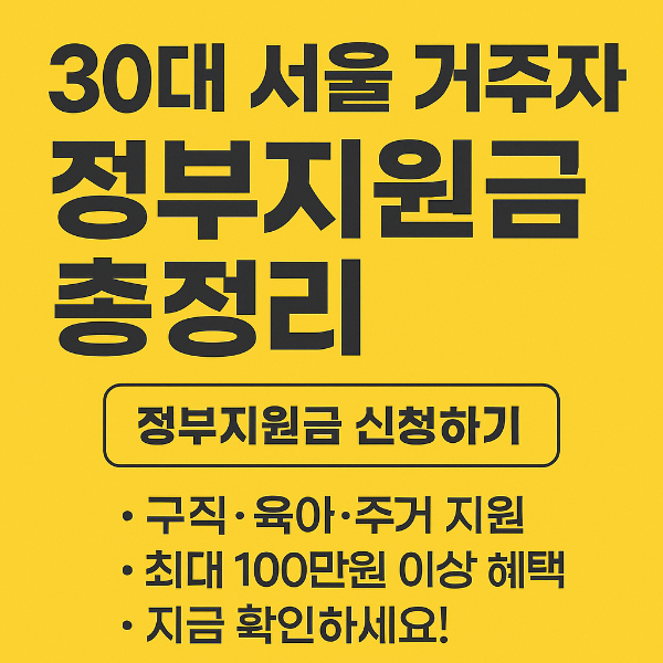 30대 서울거주자 정부지원금 정리