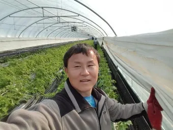 감자 재배 달력 파종 북주기 역병 관리 수확 및 저장_13