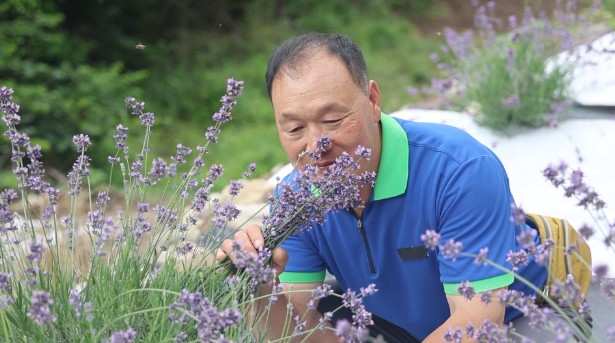 한국기행-해남-정원-달마산
