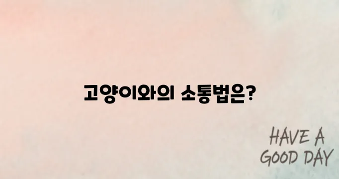 고양이 키우기 입양 전 꼭 알아야 할 점