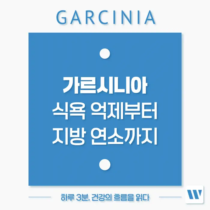 가르시니아 캄보지아 효능, 효과, 복용방법