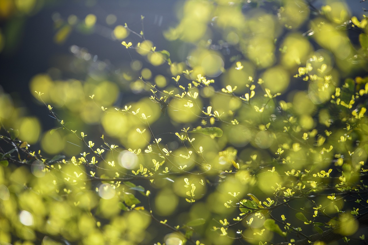 환경 사회 이미지사진