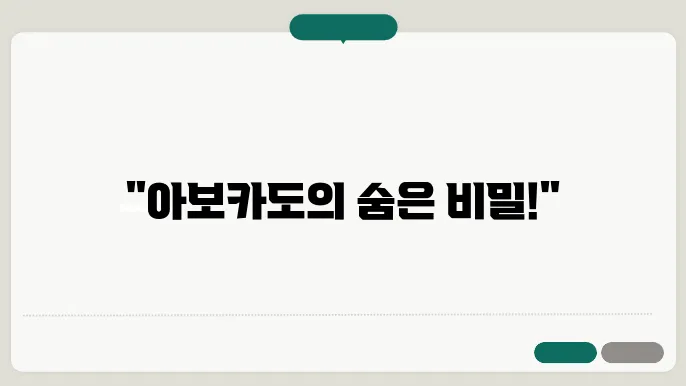 아보카도 성분