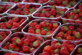 농식품 바우처 신청