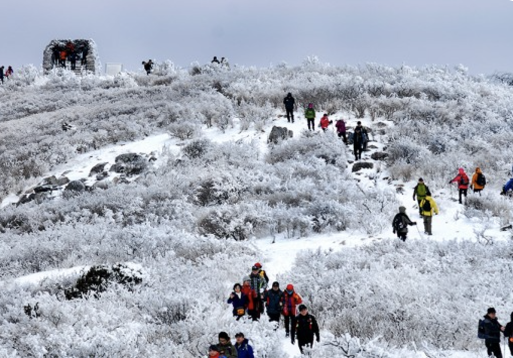 태백산 눈축제 프로그램