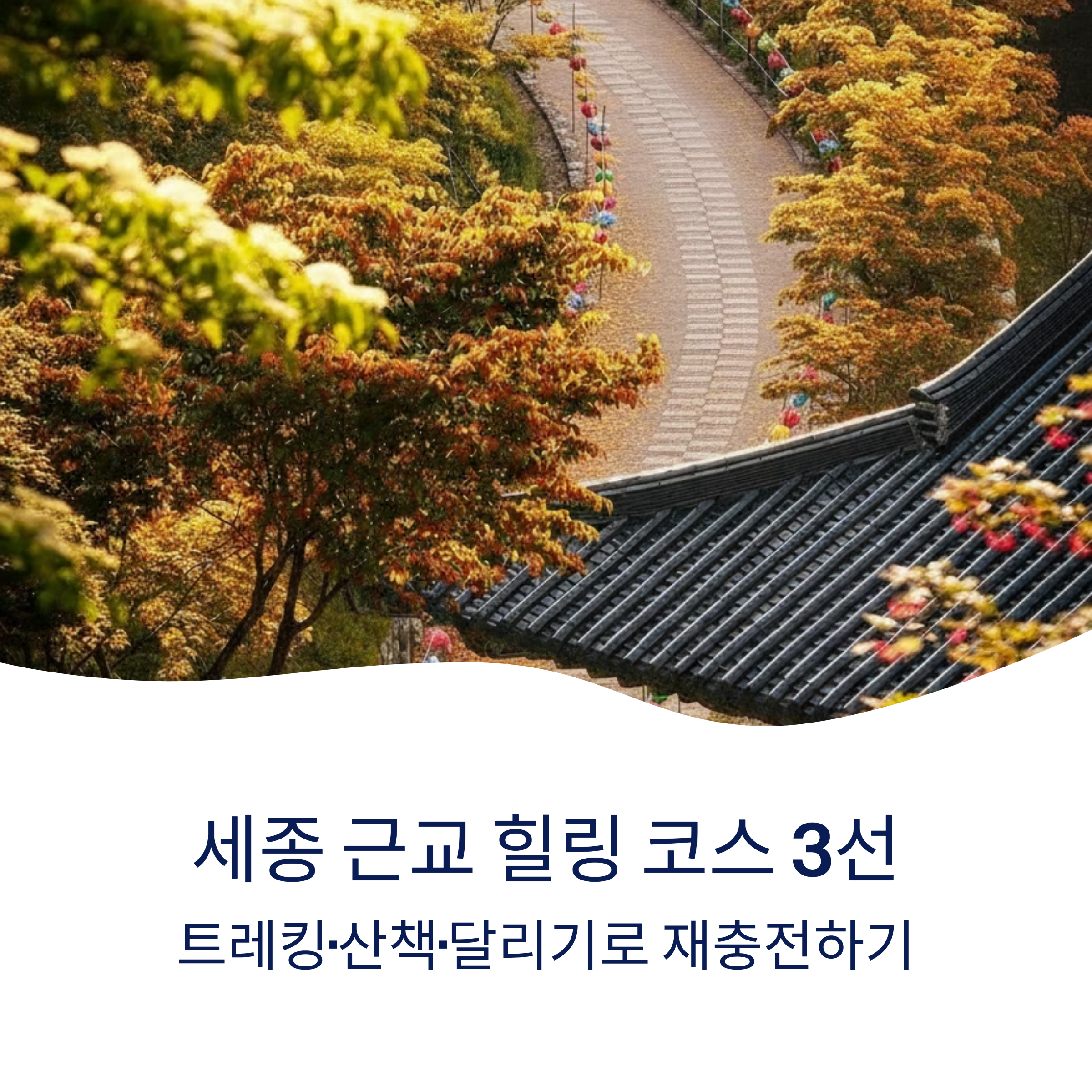 세종 근교 힐링 코스 3선: 트레킹·산책·달리기로 재충전하기