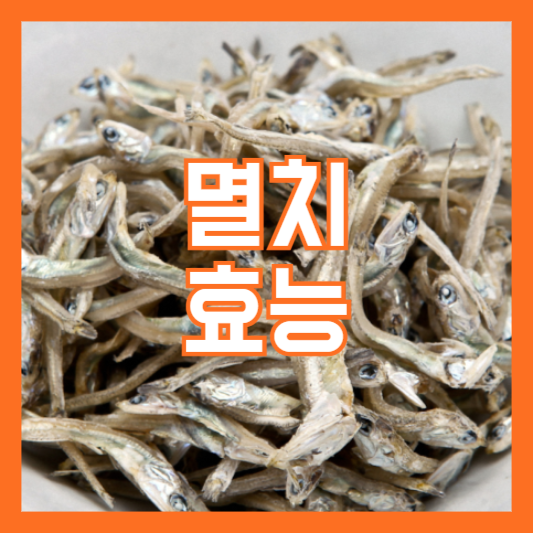 멸치 효능 5가지! 알고 먹으면 더욱 건강!