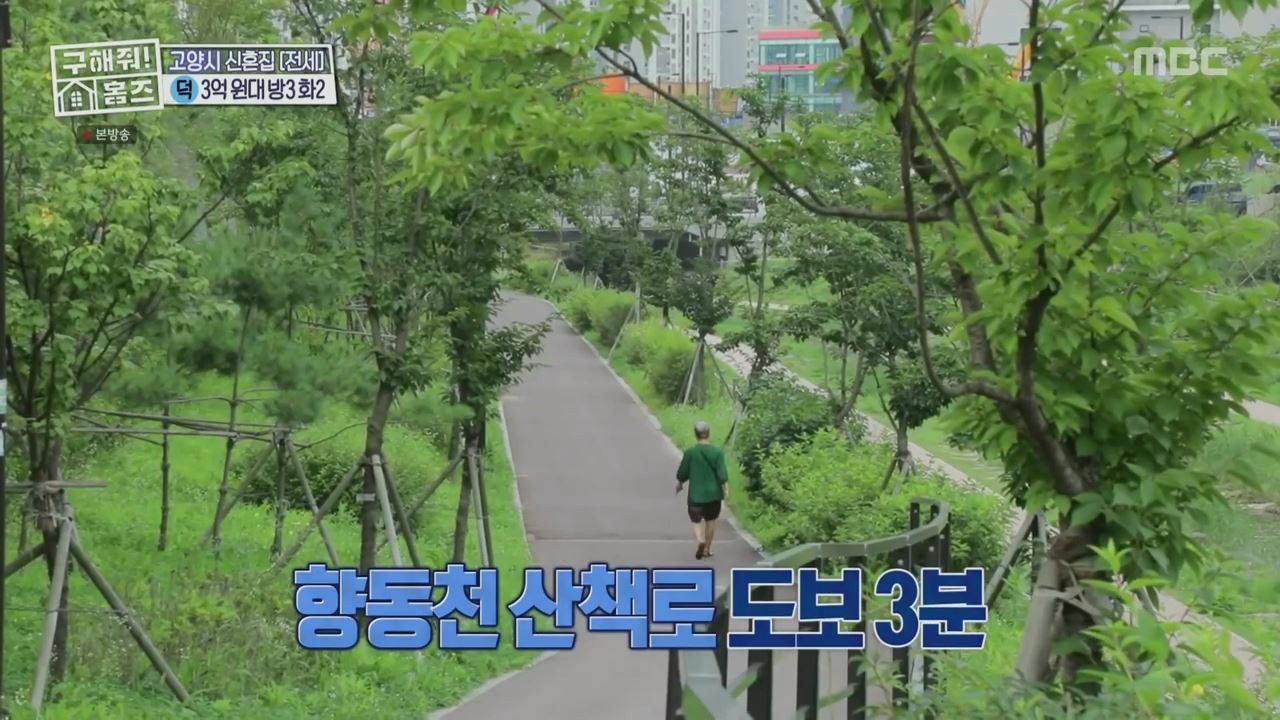 구해줘홈즈 고양시 덕양구 향동동 엄지척 핑크렐라 하우스 매물 가격 및 구조 인테리어 리모델링 최종선택 소개