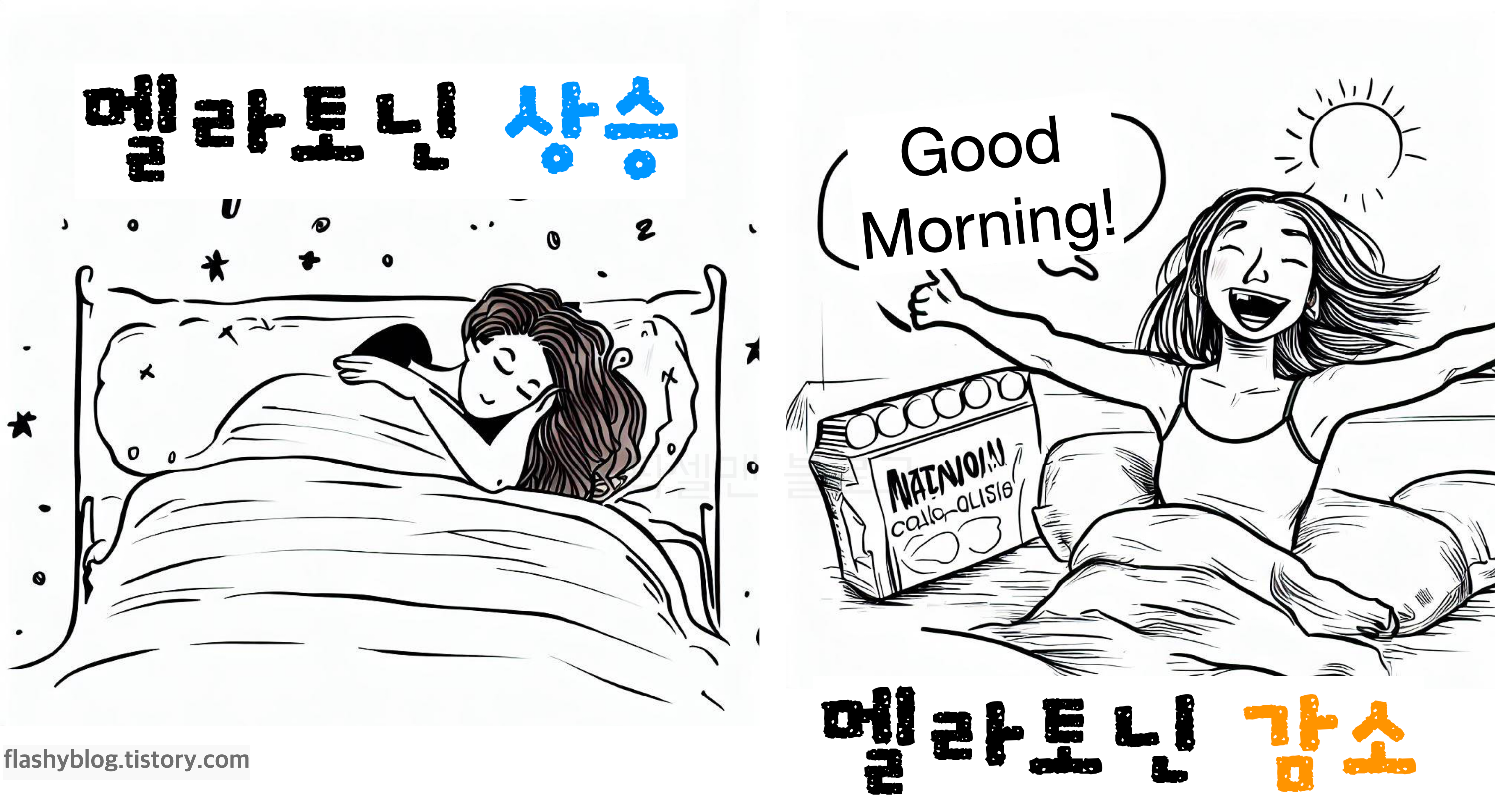 멜라토닌은 저녁때 증가하고 아침에 감소하여 수면-각성 패턴 조절에 중요한 역할을 한다.
