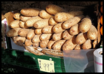 폴리코사놀 복용법