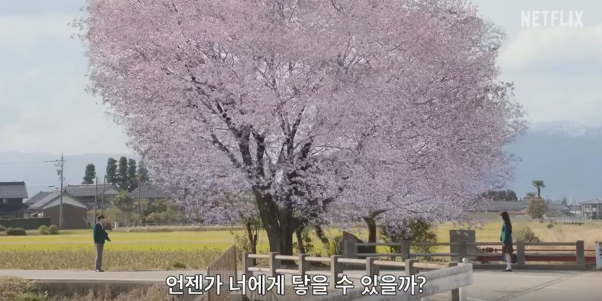 너에게 닿기를 - 처음 만난 벚꽃 나무 아래