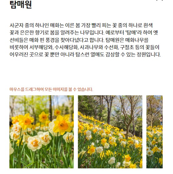 탐매원