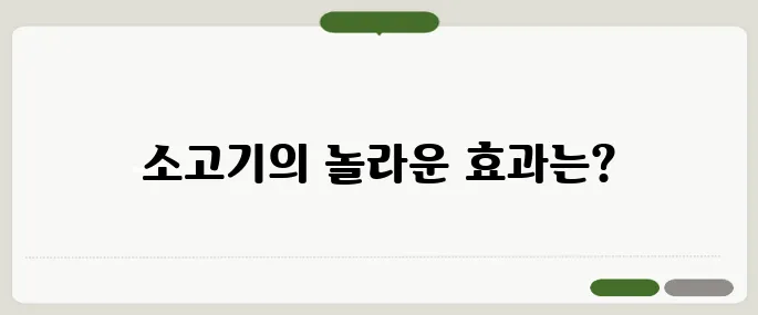 소고기 효능 알고 먹으면 보약